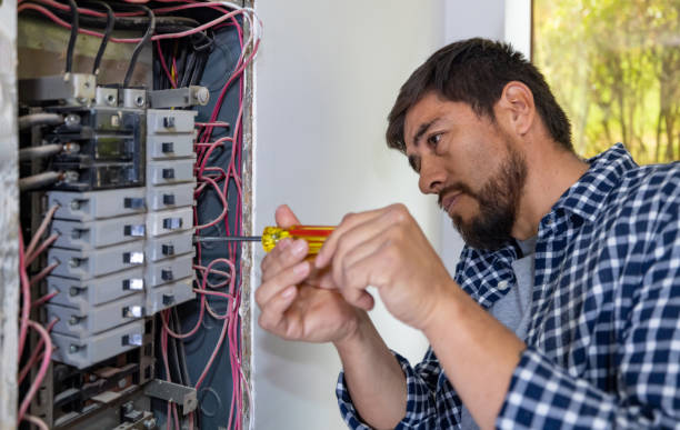 Best Electric Panel Repair  in Milan, OH